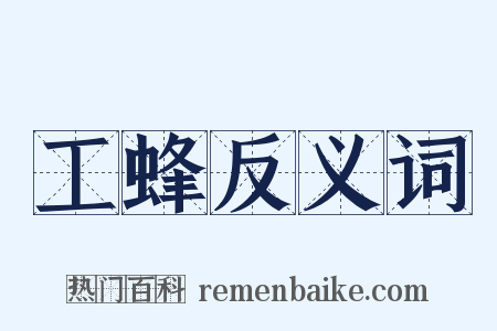 工蜂反义词是什么意思的图片